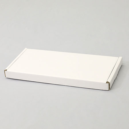 310×150×20(N式額縁)(白)-2