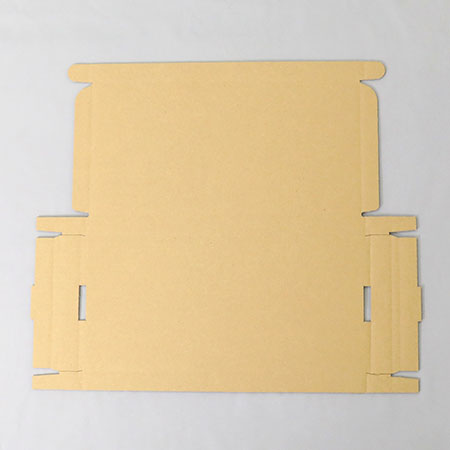 310×150×20(N式額縁)(白)-3