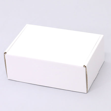 285×195×110(N式額縁)(白)-2