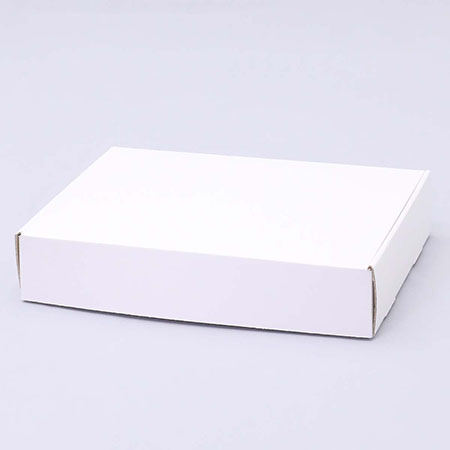 310×220×60(N式額縁)(白)-2