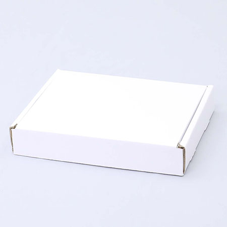 250×183×41(N式額縁)(白)-2