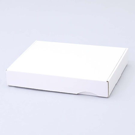 324×251×53(N式額縁)(白)-2