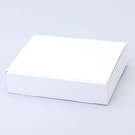 301×244×69(N式額縁)(白)-2