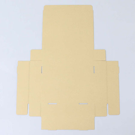 301×244×69(N式額縁)(白)-3