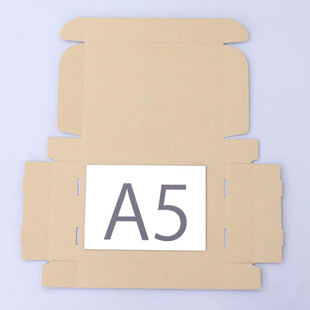 253×174×44(N式額縁)(白)-3