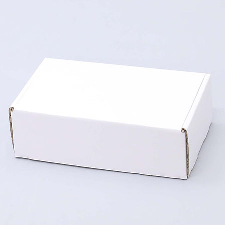 291×171×94(N式額縁)(白)-2