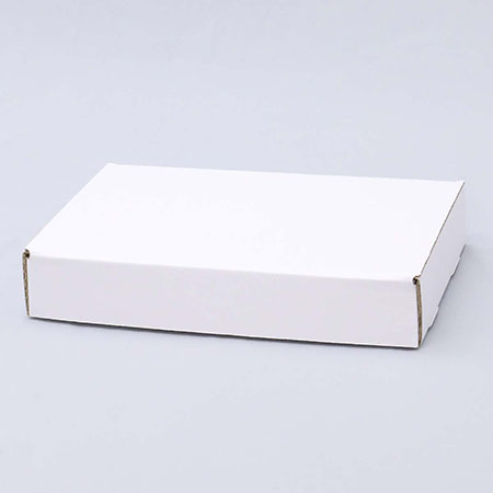 321×222×55(N式額縁)(白)-2