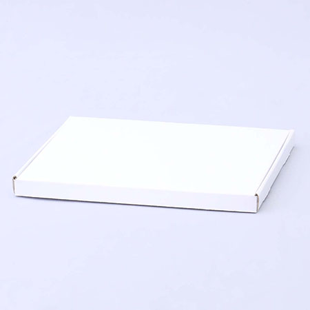 283×213×18(N式額縁)(白)-2