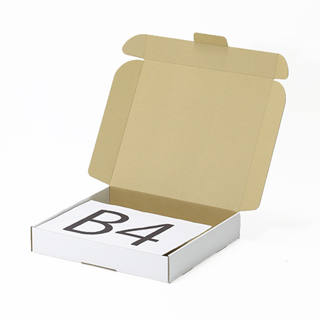 385×350×65(N式額縁)(白)-2