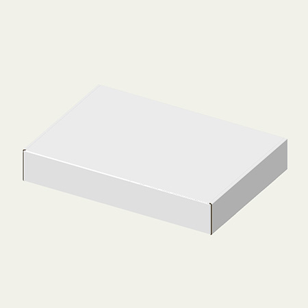 310×220×50(N式額縁)(白)-2