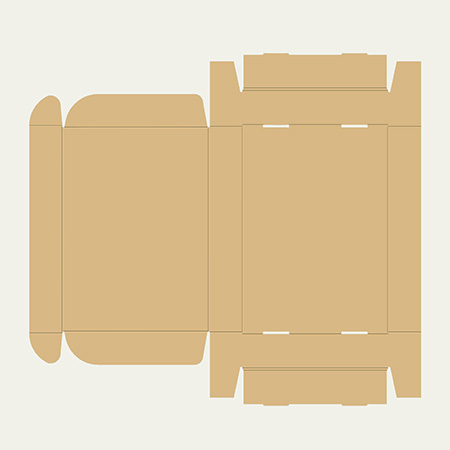 310×220×50(N式額縁)(白)-3