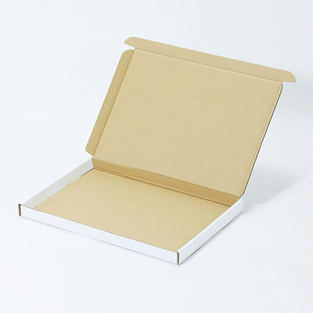 446×315×30(N式額縁)(白)-2