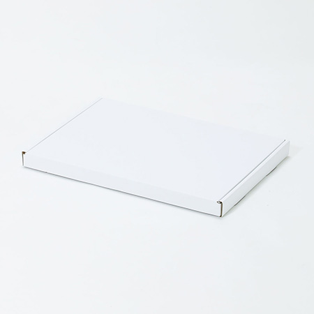 446×315×30(N式額縁)(白)-3