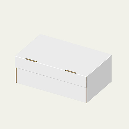 310×190×120(N式額縁)(白)-2