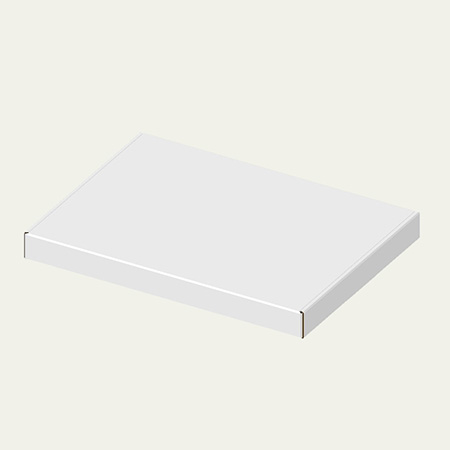 298×219×26(N式額縁)(白)-2