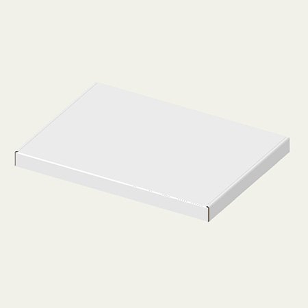 298×219×21(N式額縁)(白)-2