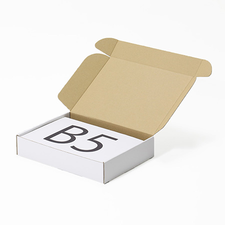 267×202×52(N式額縁)(白)-2