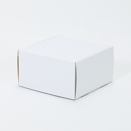 210×210×118(N式額縁)(白)-3