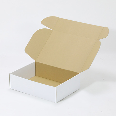 415×300×120(N式額縁)(白)-2