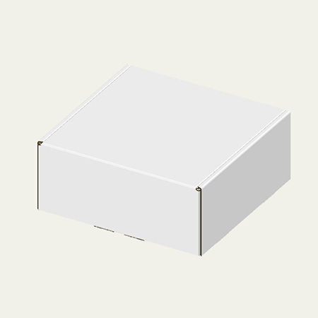 300×300×130(N式額縁)(白)-2