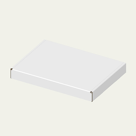 390×290×45(N式額縁)(白)-2