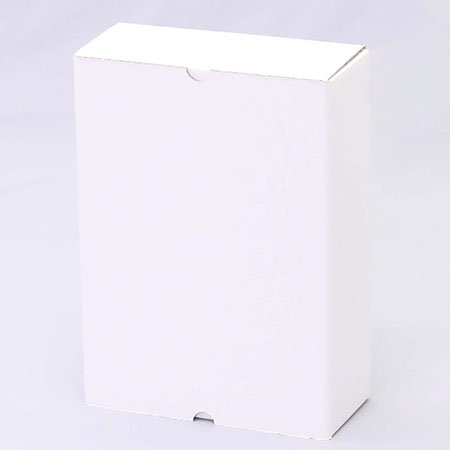 220×95×310(B式キャラメル)(白)-2