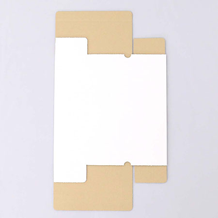 220×95×310(B式キャラメル)(白)-3