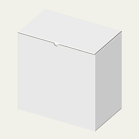 325×194×321(B式キャラメル)(白)-2