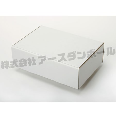 310×206×96(N式簡易)(白)-2