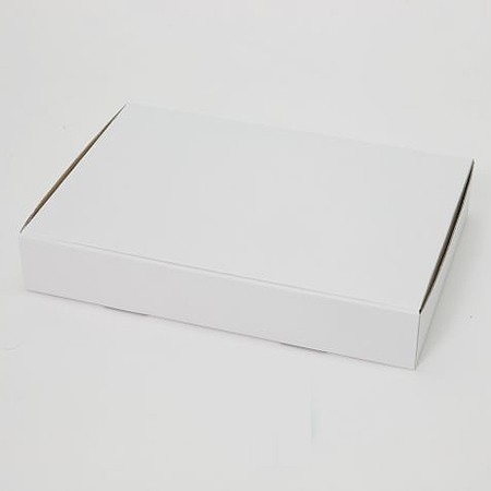 344×234×58(N式簡易箱)(白)-2