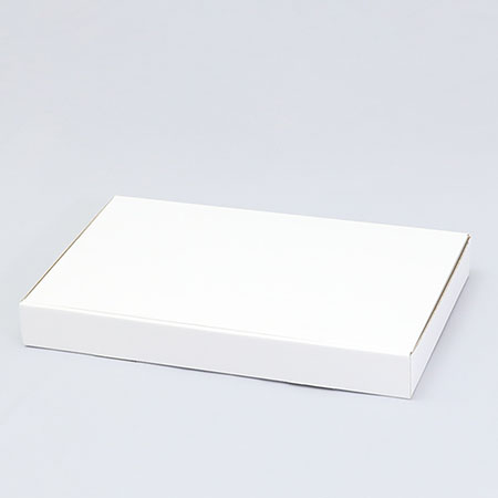 342×210×41(N式簡易)(白)-2