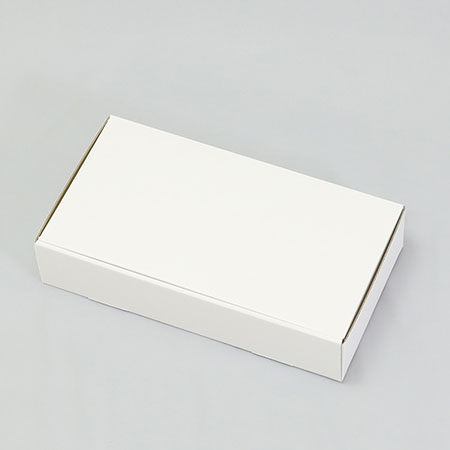 305×160×65(N式簡易)(白)-2