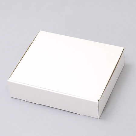 268×223×68(N式簡易)(白)-2