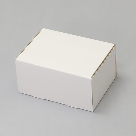 162×120×83(N式簡易)(白)-2