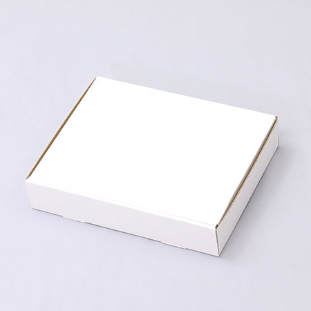 242×189×47(N式簡易)(白)-2