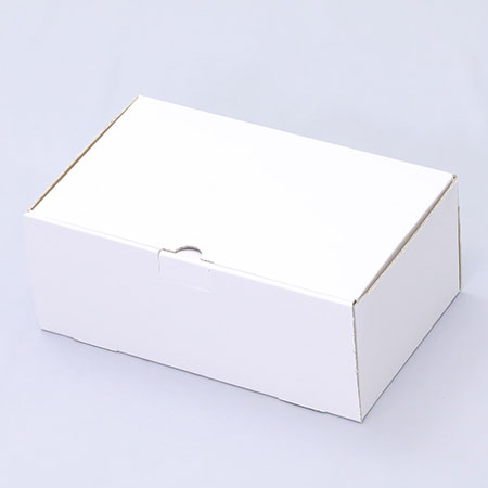 250×150×100(N式簡易)(白)-2