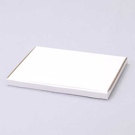 300×210×20(N式簡易)(白)-2