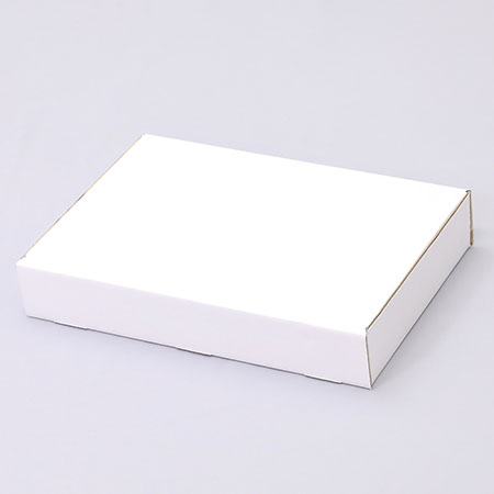 300×205×50(N式簡易)(白)-2