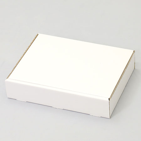 288×217×60(N式簡易)(白)-2