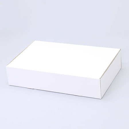 550×350×120(N式簡易)(白)-2