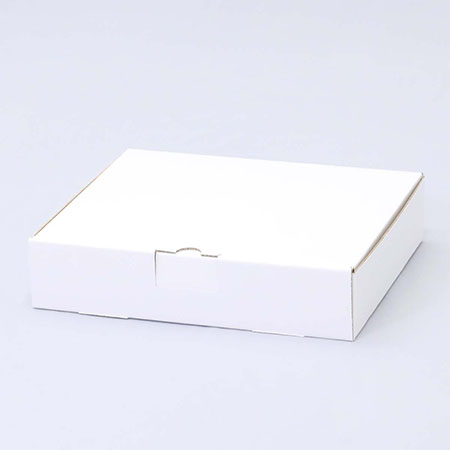 250×200×55(N式簡易)(白)-2