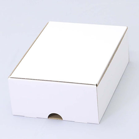 270×384×129(N式簡易)(白)-2