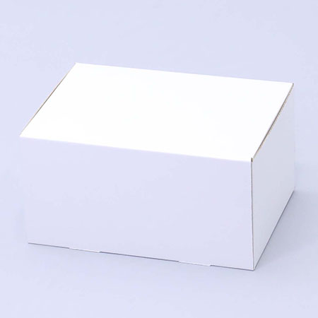 257×182×135(N式簡易)(白)-2