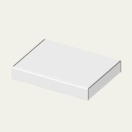 305×220×42(N式簡易)(白)-2