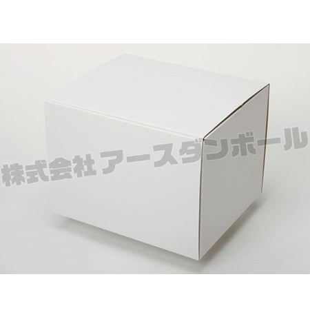 225×185×165(蓋差込N式)(白)-2