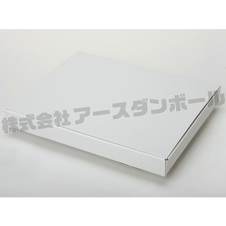 310×250×32(蓋差込N式)(白)-2