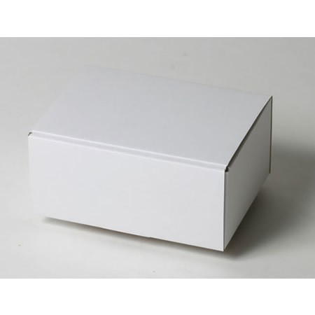 163×113×73(蓋差込N式)(白)-2