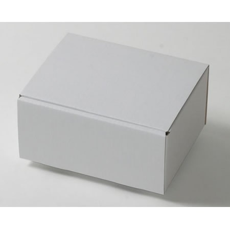 210×158×100(蓋差込N式)(白)-2