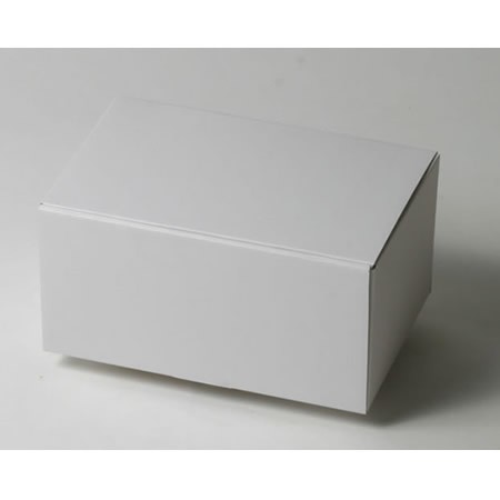 218×138×108(蓋差込N式)(白)-2