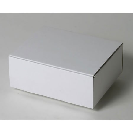 220×170×85(蓋差込N式)(白)-2